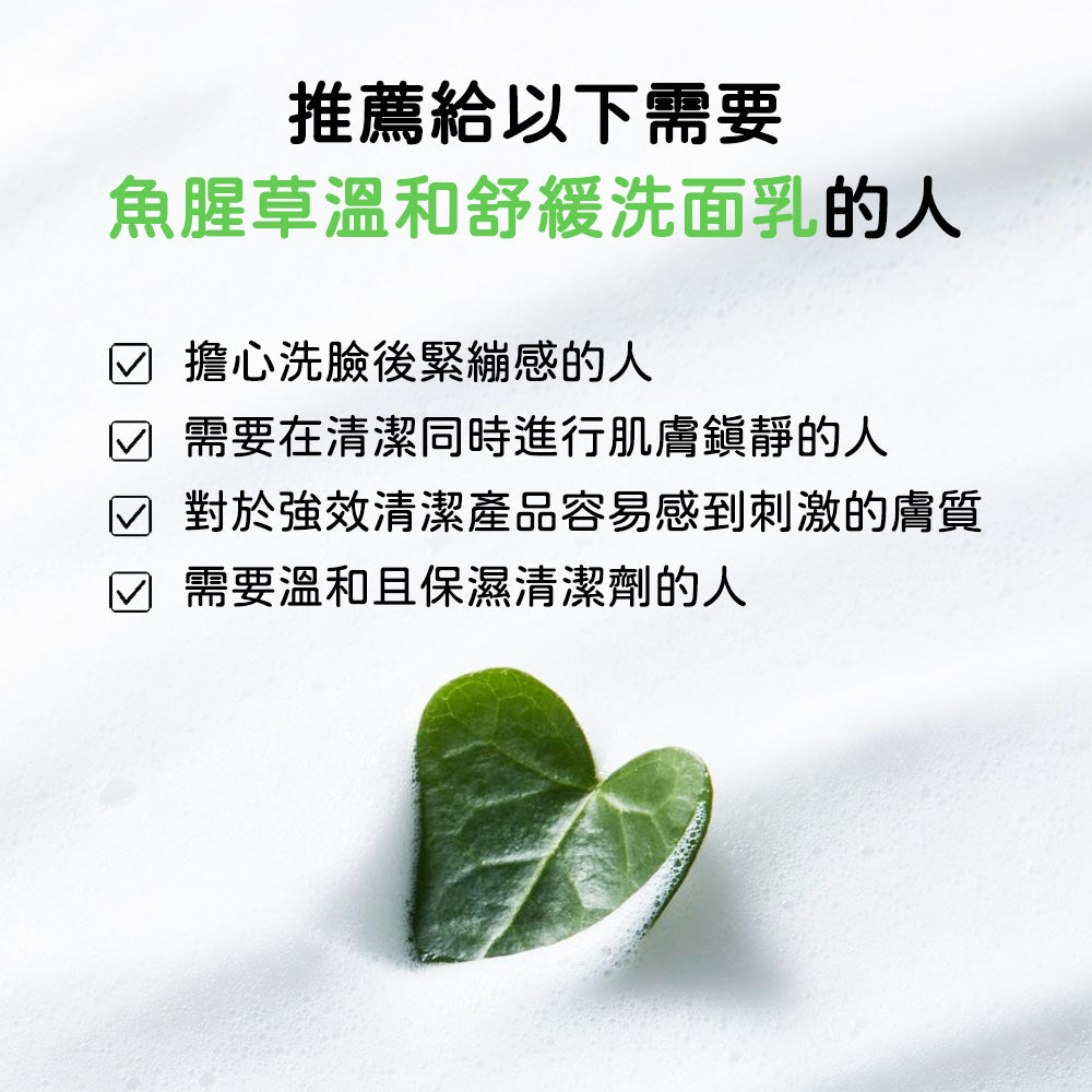 Abib 魚腥草舒緩洗面乳