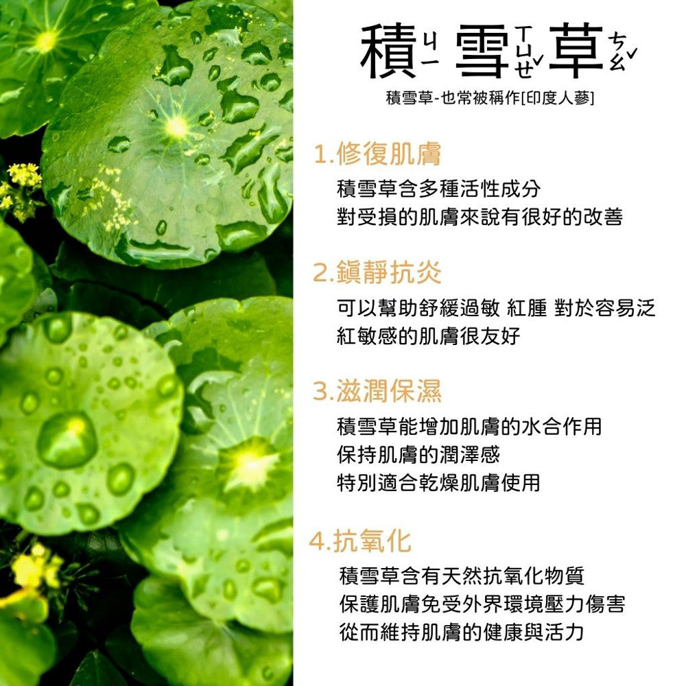medicube 日常急救積雪草面膜 每日面膜 積雪草面膜 積雪草 老虎草 面膜 鎮靜 舒緩 韓國 庶務客
